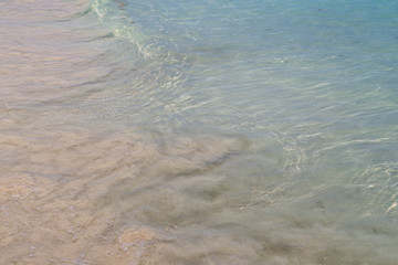 clear pink and blue water wave of caribbean ocean in Cancun Mexico