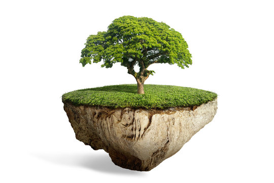 fantasy floating island with natural lonely tree on the rock, surreal float landscape with paradise concept