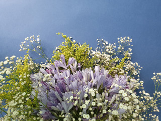 decoration with natural agapanthus flowers for bouquets and arrangements