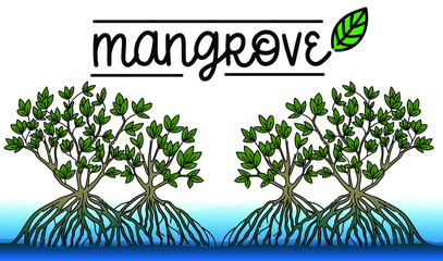 Mangrove forest background vector