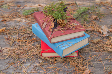 Forgotten books on a wooden table in a city park. Coniferous branch, fir cone, coniferous needles on books. Three books, three stories, three lives.