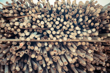 Beautiful nature cutting bamboo sticks texture use for pattern