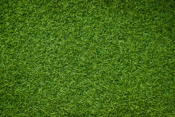 Obraz premium Green artificial grass natural