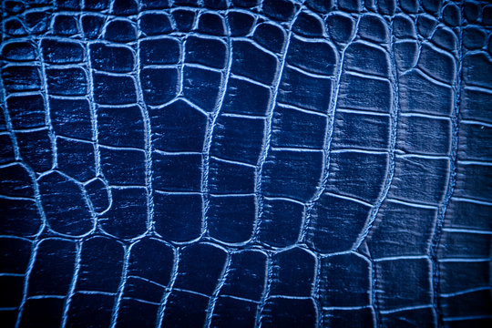 Blue skin leather texture