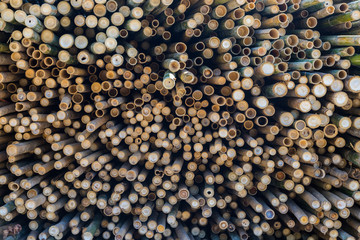 Beautiful nature cutting bamboo sticks texture use for pattern