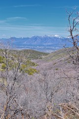 Views of Wasatch Front Rocky Mountains from the Oquirrh Mountains in early spring, Hiking in Yellow Fork trail and Rose Canyon in Great Salt Lake Valley. Utah, United States. USA.