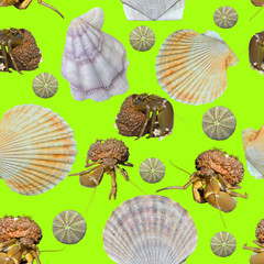 Sea invertebrate animals, seamless pattern.