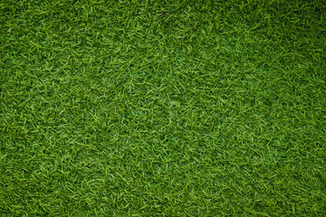 Obraz premium Green artificial grass natural