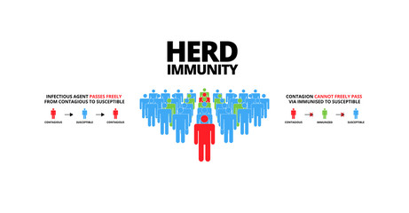 Group of people with Herd immunity text.Concept of herd immunity or a group of people who are infected with the infected person as a virus spread in society.Vector illustration.Flat style infographic. - obrazy, fototapety, plakaty