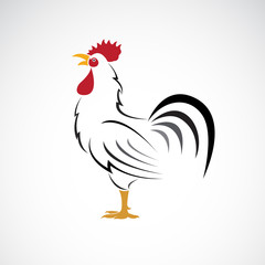 Vector of rooster or cock design on white background. Farm Animal. Chicken logos or icons. Easy editable layered vector illustration.