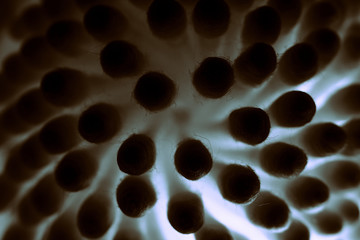 abstract metal background