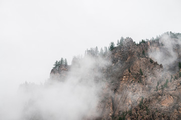 Ghostly view through dense fog to beautiful rockies. Low clouds among giant rocky mountains with trees on top. Alpine atmospheric landscape to big cliff in cloudy sky. Minimalist highland scenery.