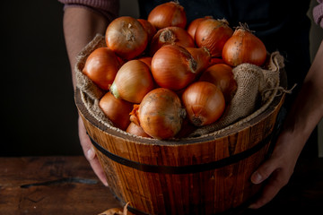 Fresh ripe onions in wooden bucket.