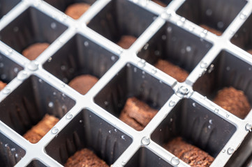 Subjective focus on black plastic grid of a peat moss seed starting tray