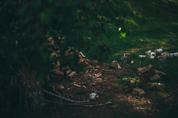 prepared firewood for the winter and an axe. dry fallen trees on the ground. Sawmill, woodworking industry, construction