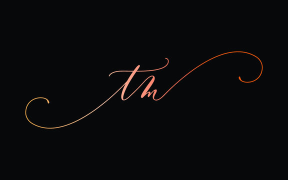 tm or t, m Lowercase Cursive Letter Initial Logo Design, Vector Template