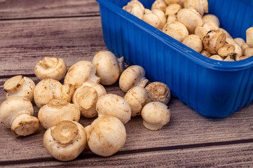 Young mushrooms in a plastic tray and mushrooms scattered on a wooden background. Close up.