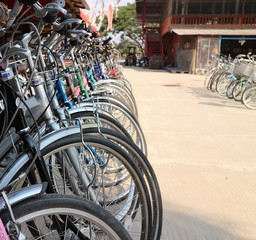 Fototapeta na wymiar bicycle parking in the park