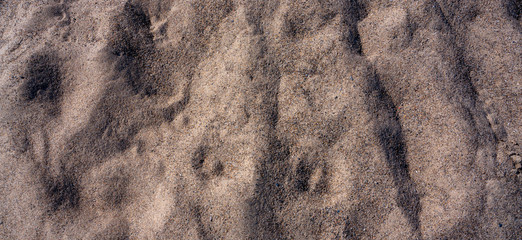 Beach Sand Texture Background with perfect lighting 