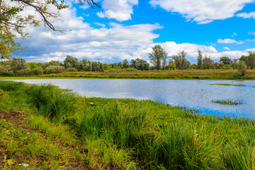 Obraz na płótnie Canvas Summer landscape with beautiful river, green trees and blue sky