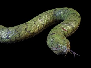 A large crawling snake. 3d rendering