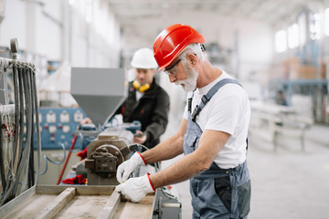 Colleagues working together. Workers in factory.	