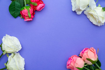 Rose flowers on blue purple color backdrop. Floral pattern. Copy space for text. Banner or template. View from above, flat lay. Flower background.