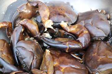 River crab which is a fresh water animal