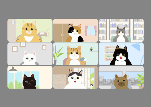 ビデオ会議する猫の事務所 在宅勤務も楽しい 猫の新キャラ登場 Stock イラスト Adobe Stock