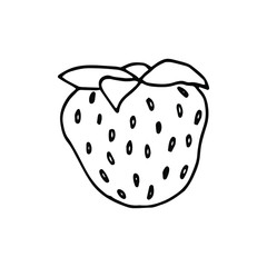 Hand drawn fresh strawberry. vector illustration.