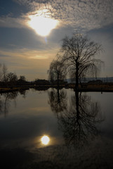 Fototapeta na wymiar trees on the edge of the lake at sunset