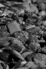 rock bed in black and white