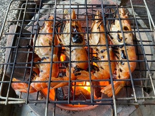 Large grilled shrimp on the kiln ready to eat