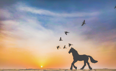 silhouette of  horse