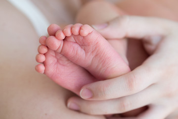 Obraz na płótnie Canvas newborn baby feet in hand