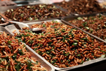 Thai food with insects