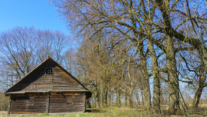 Horizontal image of an old rustic abandoned house and trees on classic blue sky background. Countryside concept. Space for text.