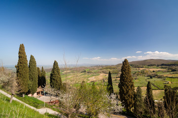 Panoramic landscape. Montepulciano, Italy.
