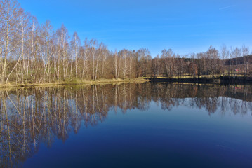 Fototapeta na wymiar Water reflection of trees in a pond