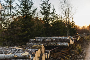 Fototapeta premium Logs on old train tracks