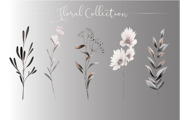 beauty floral watercolor collection