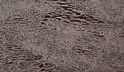 Abstrakte Struktur von altem Palmholz in Nahaufnahme - altes Holz einer Palme