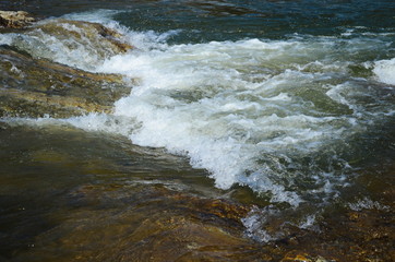 fast mountain river in the Carpathians