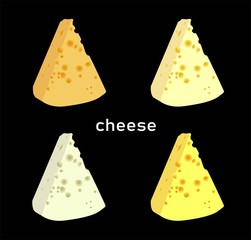the best cheese. varieties of cheese slices. Stylish modern vector illustration..