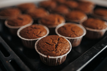 Chocolate muffins bakery. Brownie cupcakes on the baking pan. Baking at home, home bakery.