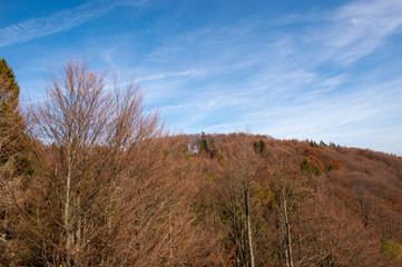 Mountain Jaworzyna Krynicka in Beskid Sądecki