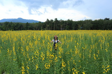 A woman standing in the crotalaria juncea field in Rayong, Thailand