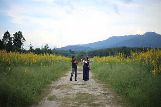 Women and men take pictures in the crotalaria juncea field in Rayong, Thailand.