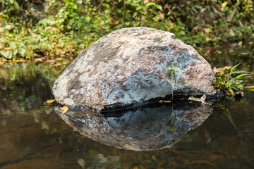 Nature reflection on water surface
