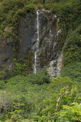 Fototapeta na wymiar Waterfall at Franz Josef Glacier Walk in Westland Tai Poutini National Park,West Coast on South Island of New Zealand 